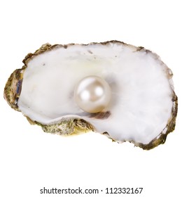 18,509 Pearl oysters Images, Stock Photos & Vectors | Shutterstock