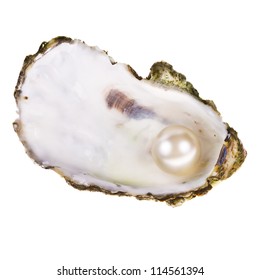 Big Pearl Oyster Shell Form Heart Stock Photo 126927083 | Shutterstock