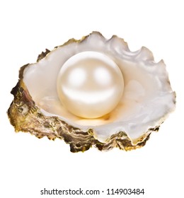 Big Pearl In An Oyster Shell, Isolated On A White Background .