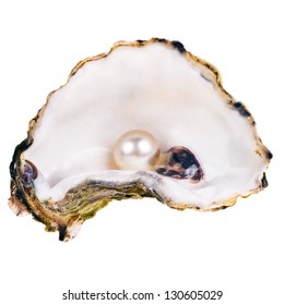 Big Pearl Oyster Shell Isolated On Stock Photo 130605029 