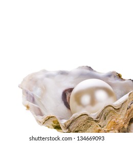 Big Pearl Oyster Shell Isolated On Stock Photo 134669093 | Shutterstock