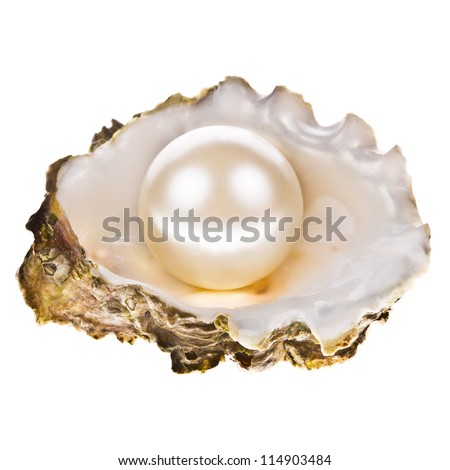 Big pearl in an oyster shell, isolated on a white background .
