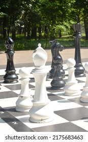 Big Pieces Chess Games In The Park