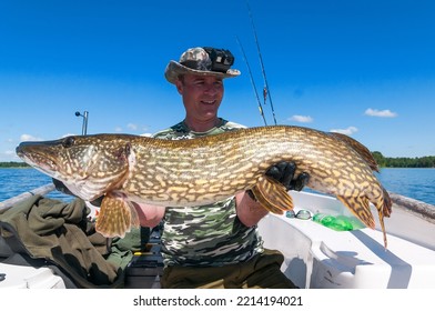 Big Pike Caught In The Middle Of The Day