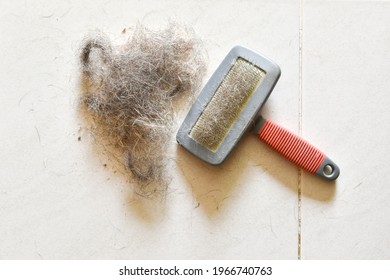 Big pile of dog hair and which brush to comb out the dog on floor, Bunch of dog hair after grooming, Shedding tool, Hair combed from the dog with brush, top view