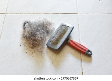Big pile of dog hair and which brush to comb out the dog on floor, Bunch of dog hair after grooming, Shedding tool, Hair combed from the dog with brush, top view
