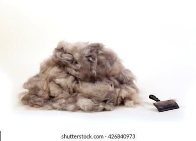 Big pile of dog hair and which brush to comb out the dog, on a white background.