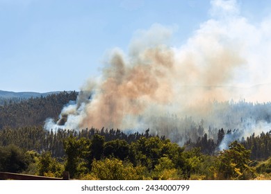 Big Pine Forest Fire, Enveloped in Billowing Smoke, A Scene of Devastating Power