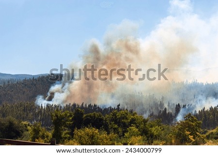 Big Pine Forest Fire, Enveloped in Billowing Smoke, A Scene of Devastating Power