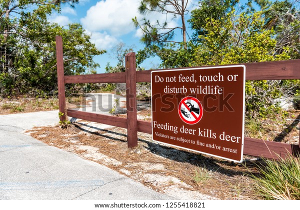 Big Pine Key, USA - May 1, 2018:\
Florida Keys, street road sign hiking trail closeup for not\
feeding, do not disturb or feed deer wildlife, logo,\
symbol