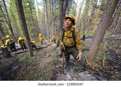 BIG PINEY, WY - JULY 8: Firefighter Brian Pickard Watches For Falling Tree Limbs While Fighting A Forest Fire With His Crew, Sunday July 8, 2012 Near Big Piney, Wy.