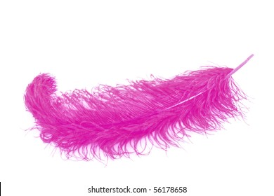 2,566 Pink feather boa Images, Stock Photos & Vectors | Shutterstock