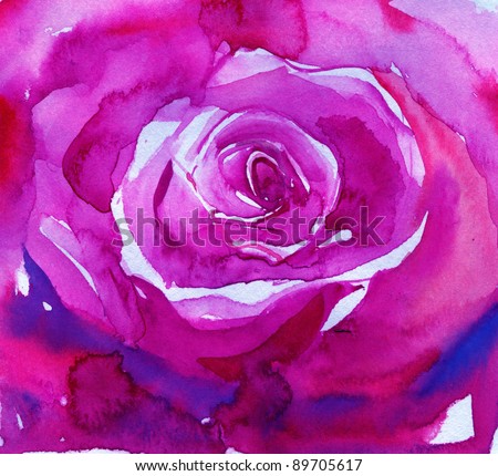 big  pink rose . watercolor