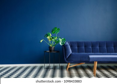 Big Plant On A Stool Next To A Comfy Couch And Checkered Tiles Set In A Living Room Interior. Place Your Product