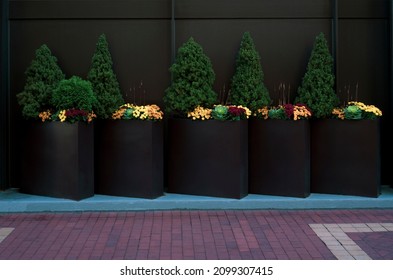 Big planters with various plants set against an outdoor wall