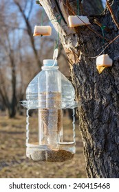 Plastic Bird Feeder Images Stock Photos Vectors Shutterstock