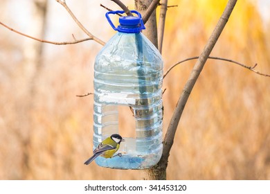 Imagenes Fotos De Stock Y Vectores Sobre Bird Feeder In Tree