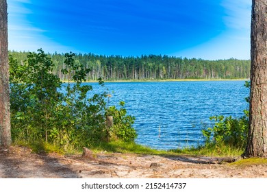big pond in the middle of russian pinetree wood