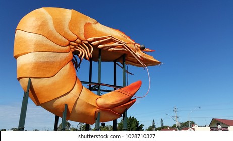 Big Prawn In Ballina Australia