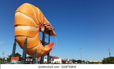 Big Prawn And Out Sign Ballina Australia