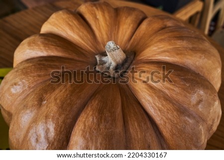 Big punkin in the table