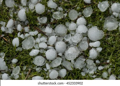 Big quantity of ice ball over the grass in garden, South Africa