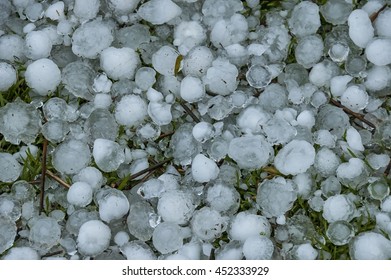 Big quantity of ice ball over the grass in garden, South Africa