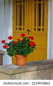 Big Red Geranium Infront Of Yellow Double Doors