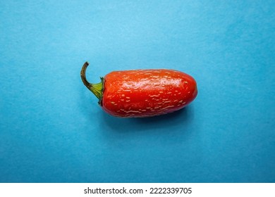 Big Red Jalapeño Hot Chilli Pepper On Light Blue Back Drop