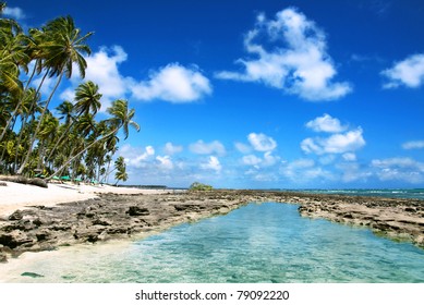 Big Reef and Natural Pool in Brazil/ Tropical beach in Brazil