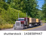 Big rig red classic long haul semi truck with flat bed semi trailer transporting tightened packed industrial lumber boards running on the turning winding road with hills and trees in sunny day