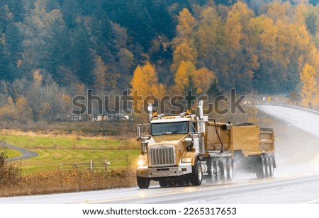 Big rig yellow gold American bonnet tip semi truck with two tipper trailers running with turned on headlight transporting commercial cargo on autumn road in rain weather with yellow trees on the hill