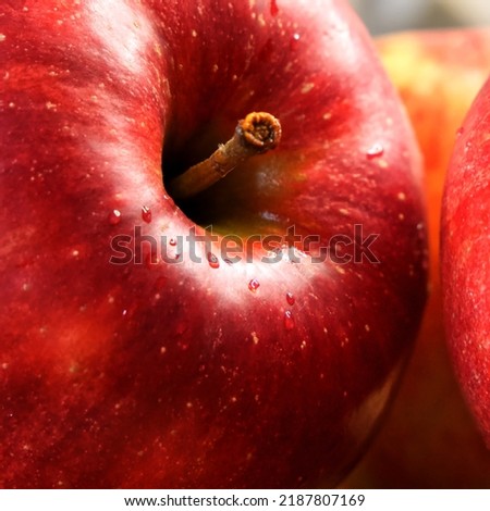 Big ripe red apple, macro shot. A beautiful fruit.