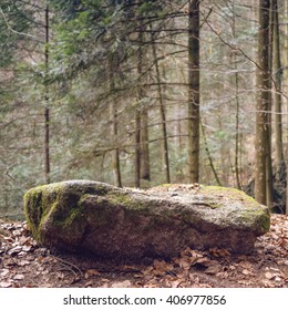 Big Rock In German Forrest