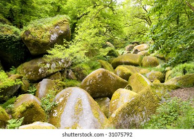 Big Rocks In A Brittany Forest