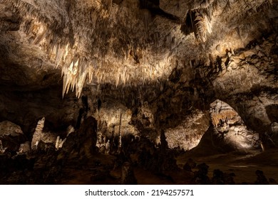  Big Room, Carlsbad Caverns  National Park, New Mexico, USA 