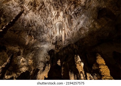  Big Room, Carlsbad Caverns  National Park, New Mexico, USA 