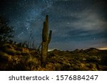 big Saguaro cactus in the desert at night