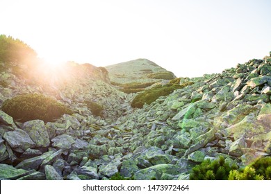 Big Scree Of Green Stones On The Top Of A Mountain In The Sunset Light