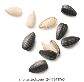 Big set of flying sunflower seeds isolated on white background. For cereal sets. Package design element with clipping path