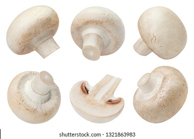 Champignon High Res Stock Images Shutterstock