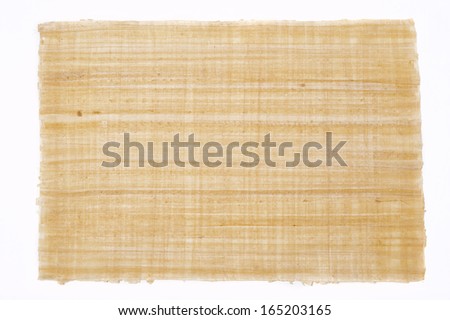 a big sheet of plain papyrus from egypt