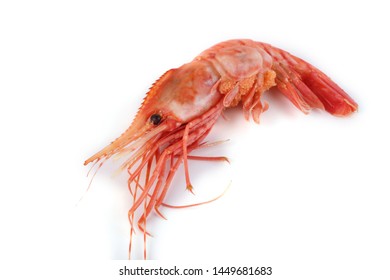 Big shrimp isolated on white
