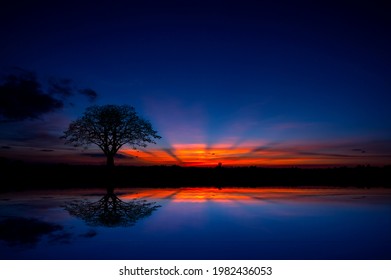 サバンナ 夕日 の画像 写真素材 ベクター画像 Shutterstock