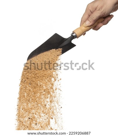 Big size Sand fall down from shovel, Golden grain sands wave. Abstract cloud fly. Yellow color sand splash throwing in Air. White background Isolated high speed shutter, throwing freeze stop motion