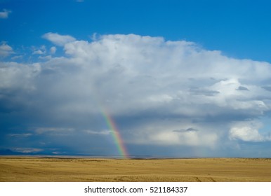 Big Sky Landscape Of An Isolated Thunderstorm And Rainbow On A Gorgeous Summer Day Over A Wheat Field On The Eastern Montana Prairie. Huge Skyscape With Blue Sky Framing The Storm Clouds.