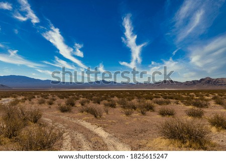 Image, Stock Photo on the way Landscape