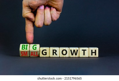 Big or small growth symbol. Businessman turns wooden cubes and changes words Small growth to Big growth. Beautiful grey table grey background, copy space. Business big or small growth concept. - Shutterstock ID 2151796565