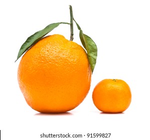 Big And Small Orange On White Background