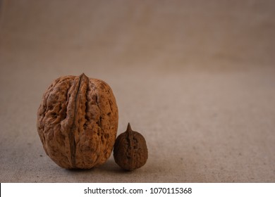 Big And Small Walnut.